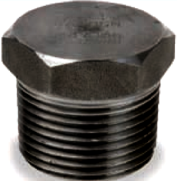 Plug Class #3000 Carbon Steel